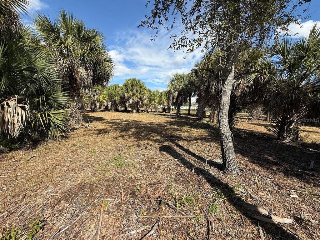 A vacant, grassy lot is filled with numerous palm trees under a blue sky — 25360 FORTRAN DRIVE, PUNTA GORDA, FL