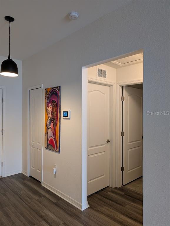 A hallway features light-colored walls, wood-look flooring, several interior doors, and a hanging pendant light — 819 CHANNING STREET, WINTER HAVEN, FL