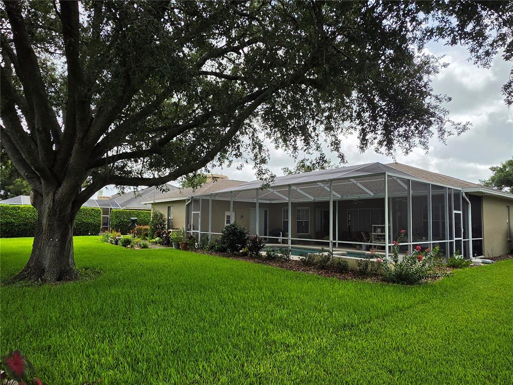 A backyard view of a house with a screened-in pool enclosure and a large tree — 6523 CREWS LAKE HILLS LOOP E, LAKELAND, FL
