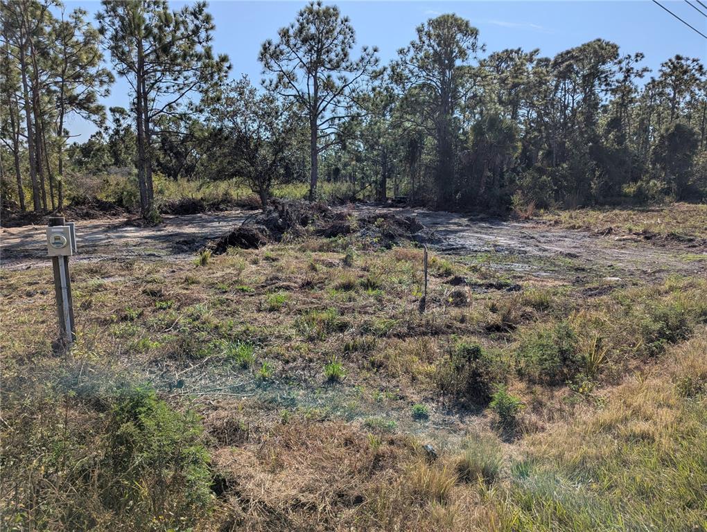 A vacant, partially cleared lot with scattered vegetation and a utility pole in the foreground — 3512 EL JOBEAN ROAD, PORT CHARLOTTE, FL