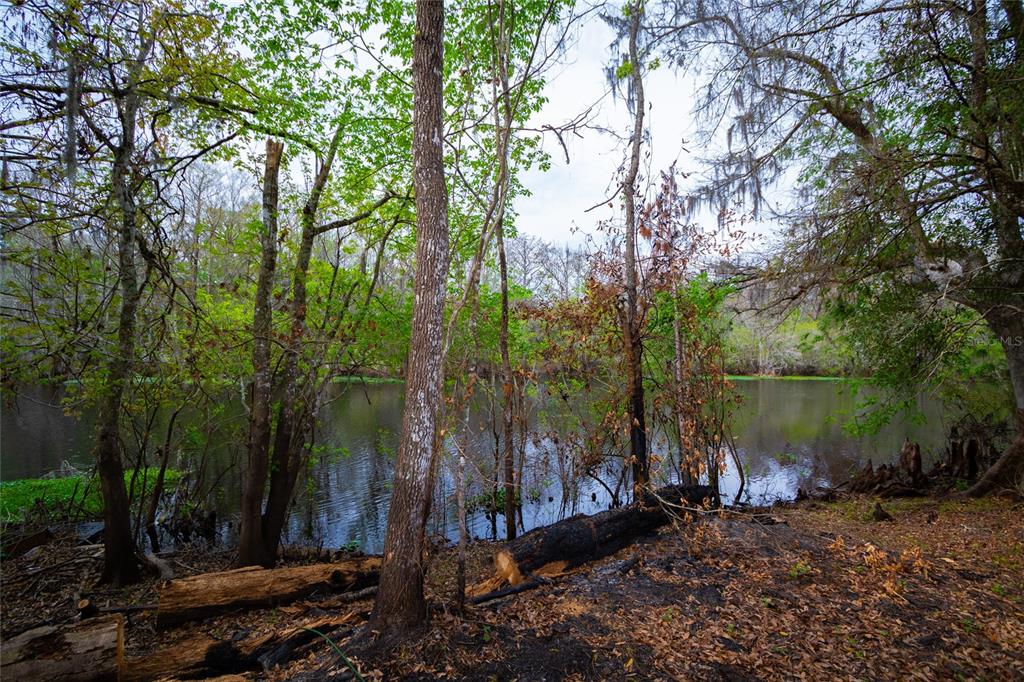 7822 CR 647, BUSHNELL, FL — photo 2 of 29