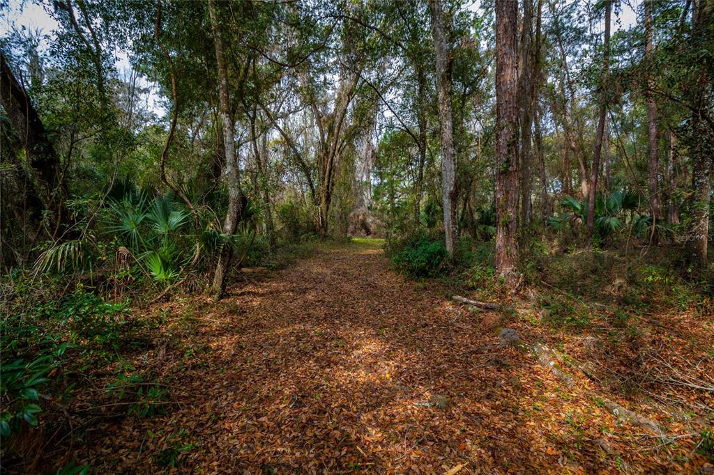 7822 CR 647, BUSHNELL, FL — photo 3 of 29