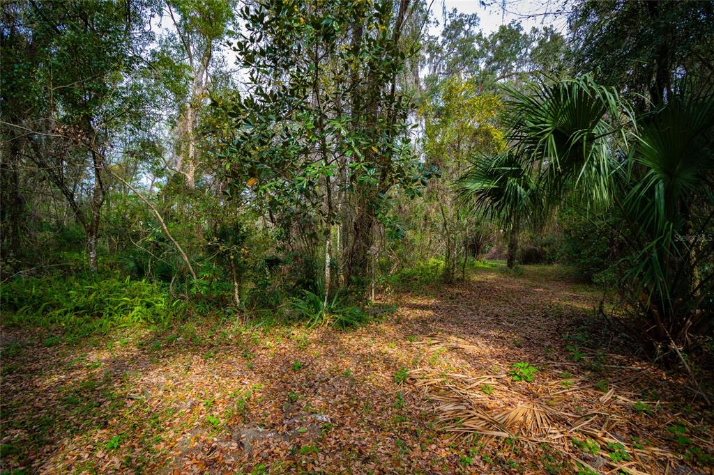 7822 CR 647, BUSHNELL, FL — photo 4 of 29