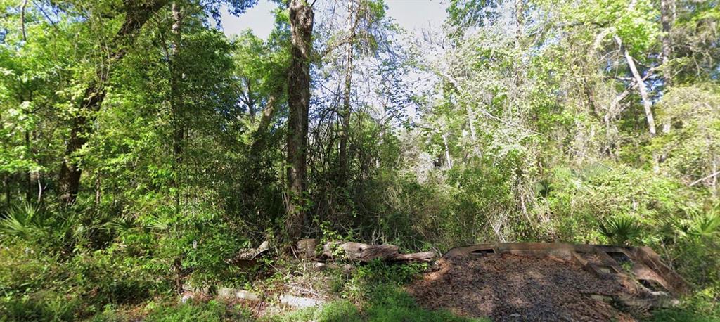 A wooded lot features dense trees, thick undergrowth, and a rusted metal structure on the ground — 000 926TH STREET, OLD TOWN, FL