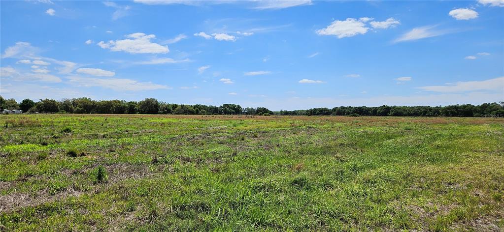 A wide, grassy field stretches toward a distant tree line under a bright blue sky — MT ZION CHURF, FROSTPROOF, FL