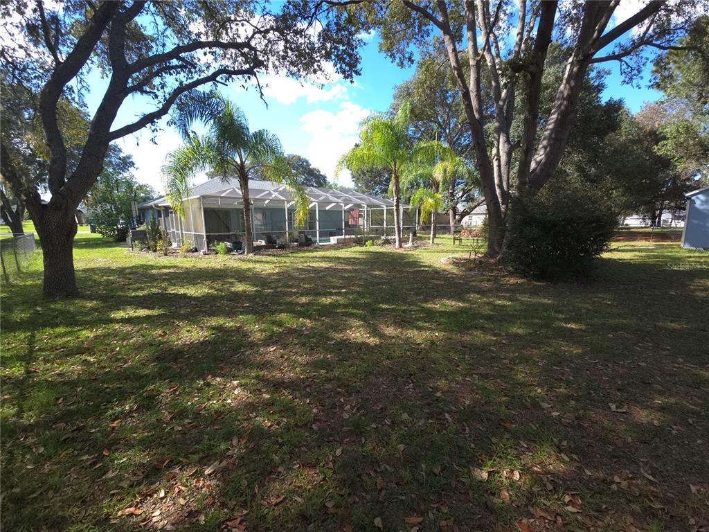 A backyard view of a house with a screened-in pool enclosure and several large trees — 11179 SW 61ST CIRCLE, OCALA, FL