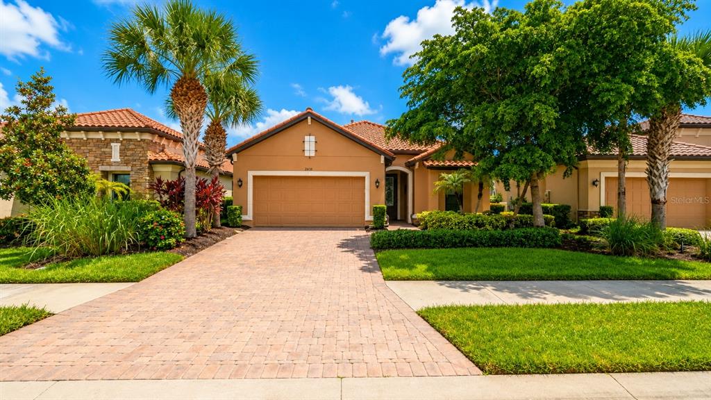 2519 VACCARO DRIVE