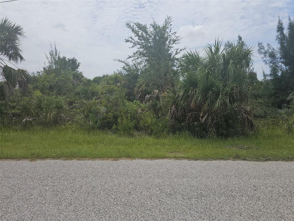 A vacant, heavily wooded lot sits behind a paved road under a cloudy sky — 8233 ARLEWOOD CIRCLE, PORT CHARLOTTE, FL