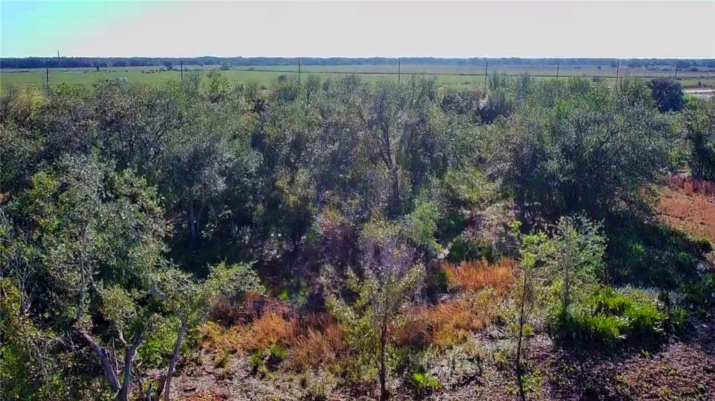 69 DUNCAN ROAD, PUNTA GORDA, FL — photo 5 of 10
