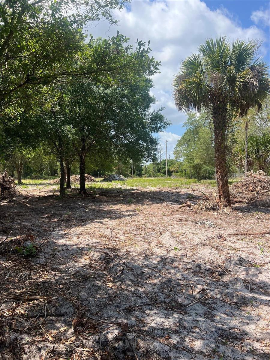 A sandy, partially cleared lot features scattered piles of brush, several trees, and a palm — 681 N Perimeter Road, Clewiston FL 33440, CLEWISTON, FL