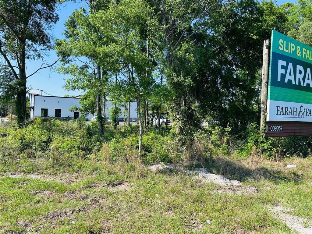 A grassy, wooded lot features a large legal advertisement sign on the right side — 0 N YOUNG BOULEVARD, CHIEFLAND, FL