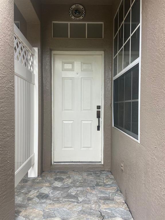 A white front door with a transom window sits on a stone-tiled porch entry — 11221 WINDSOR PLACE CIRCLE, TAMPA, FL