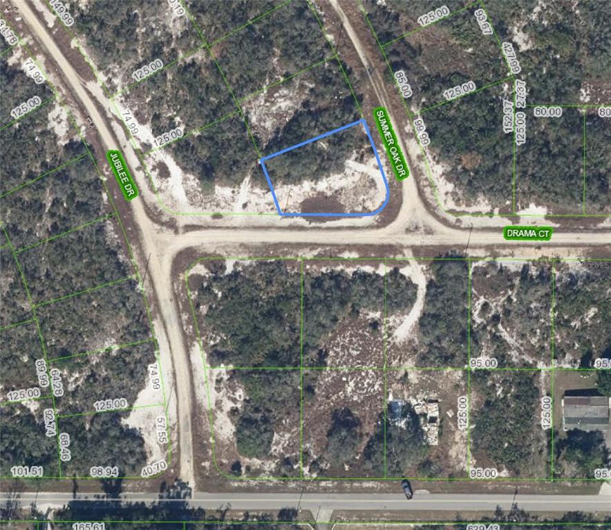 This is an aerial map showing a vacant residential lot outlined in blue — 110 SUMMER OAK DRIVE, LAKE PLACID, FL