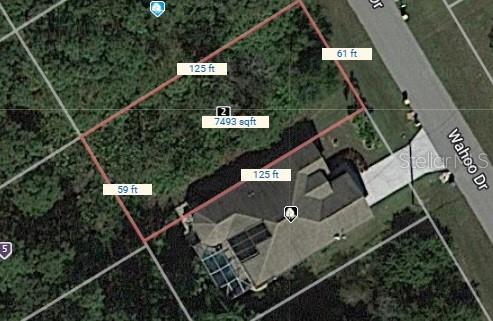 This is a satellite map view showing a residential lot with a house and pool — 119 WAHOO DRIVE, ROTONDA WEST, FL