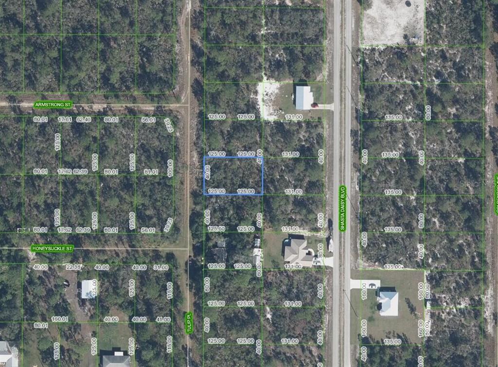 This is an aerial map showing a vacant lot outlined in blue among wooded residential parcels — 7020 TULIP PLACE, SEBRING, FL