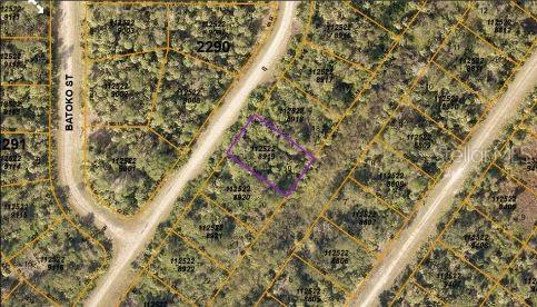 An aerial map view shows a highlighted rectangular plot of land surrounded by wooded lots — INKWOOD DRIVE, NORTH PORT, FL