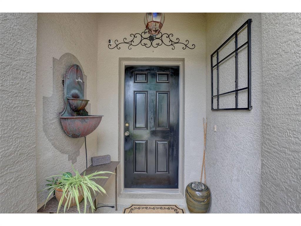 A front entryway features a black door, a wall-mounted fountain, and decorative metal wall accents — 8252 CRESCENT MOON DRIVE, NEW PORT RICHEY, FL