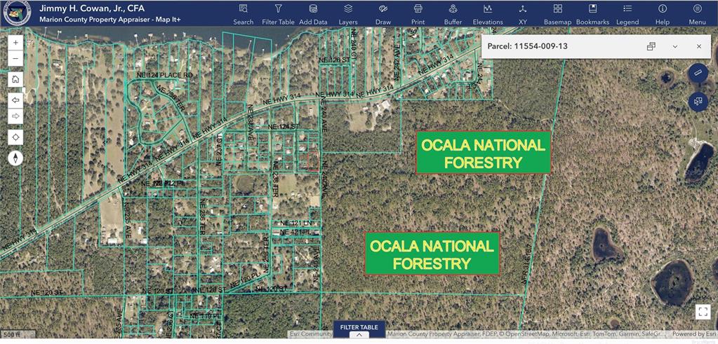 This is a digital map showing property parcel boundaries near the Ocala National Forest — NE 240TH AVENUE, SALT SPRINGS, FL