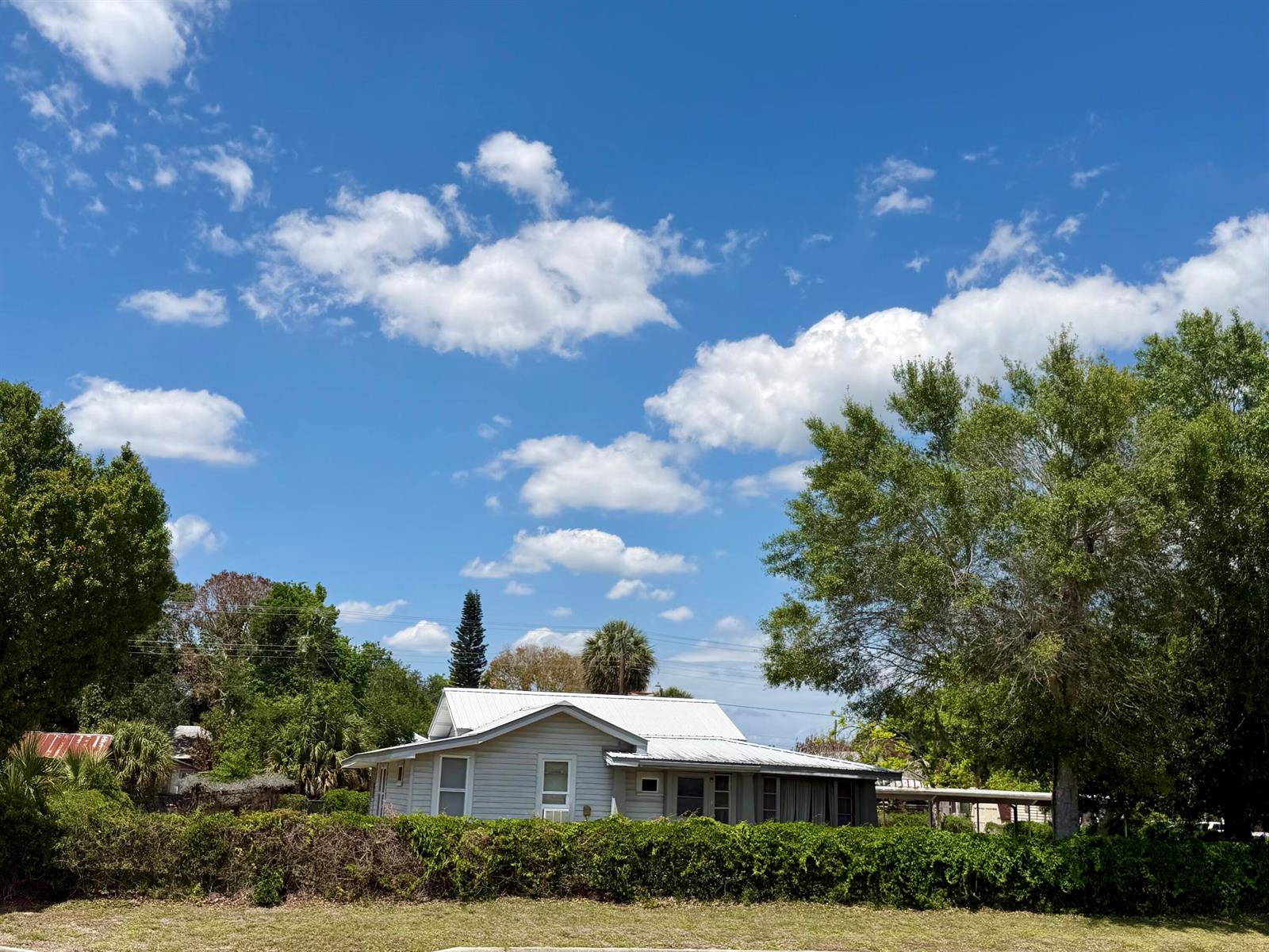 A light-colored house with a metal roof sits behind a tall, manicured hedge — 207 SE 4th Street, Okeechobee FL 34974, OKEECHOBEE, FL