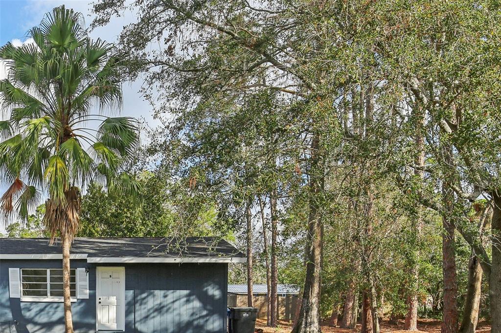 A blue shed with a white door stands next to a palm tree and trees — 7711 AMHERST STREET UNIT B, TAMPA, FL