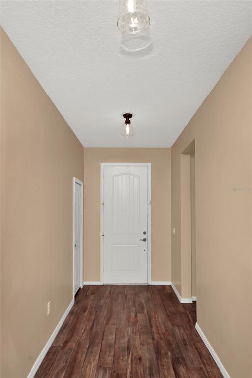A narrow entryway features wood-look flooring, beige walls, a white front door, and ceiling lights — 8119 LAUGHING GULL STREET, WINTER GARDEN, FL
