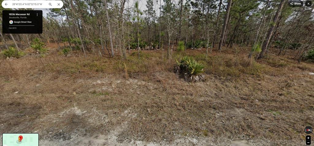 A vacant, wooded lot features sandy ground, dry grasses, and scattered palmetto bushes — 18336 MACASSAR ROAD, WEEKI WACHEE, FL