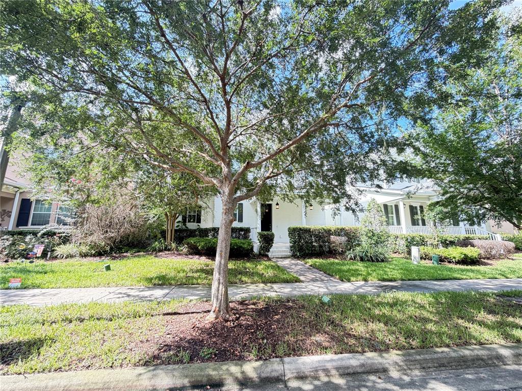 A white two-story house with black shutters is partially obscured by a large tree — 14629 BAHAMA SWALLOW BOULEVARD, WINTER GARDEN, FL