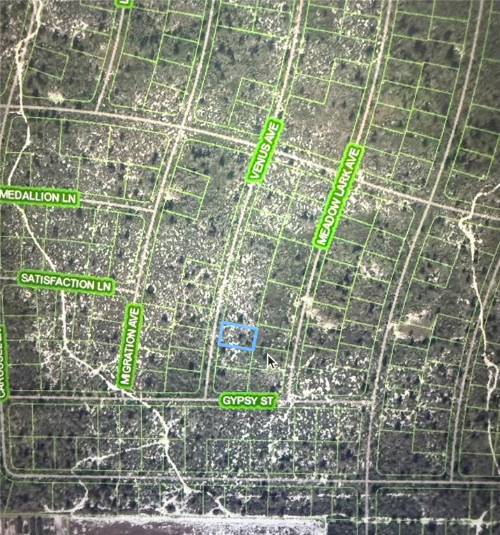 This is a satellite map view showing a highlighted rectangular plot of land — 548 VENUS AVENUE, LAKE PLACID, FL