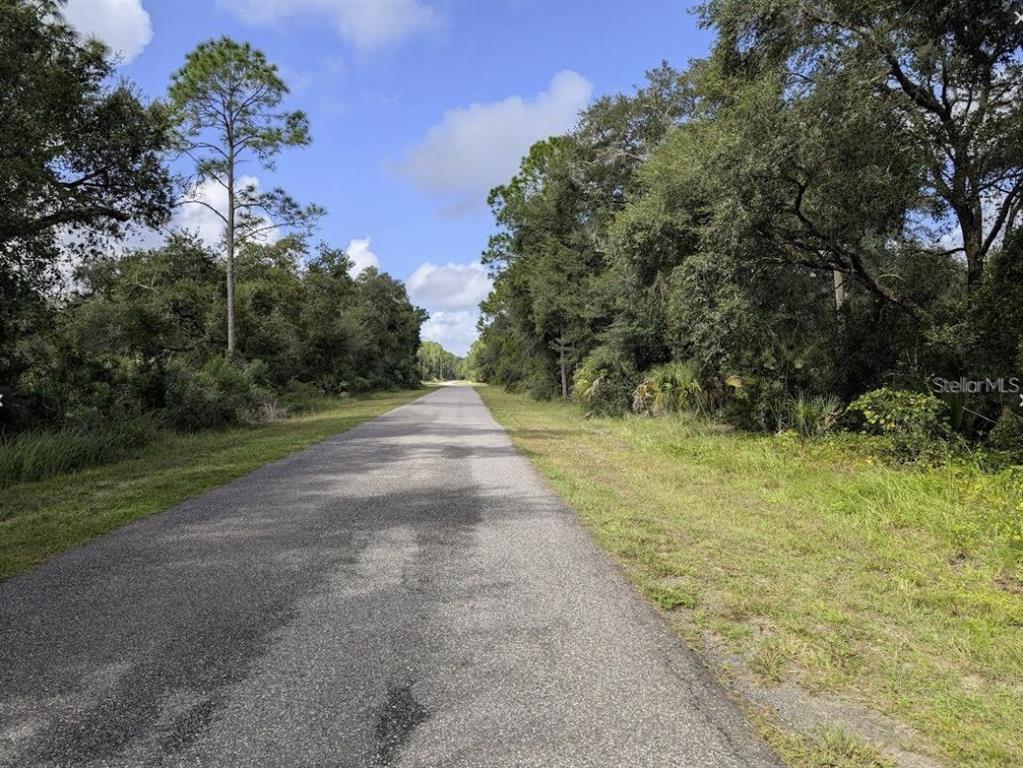 A paved road stretches into the distance, flanked by dense trees and green vegetation — 914 & 916 POINCIANA DRIVE, INDIAN LAKE ESTATES, FL