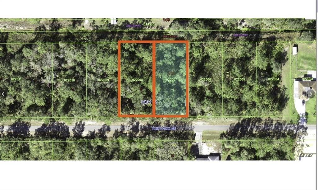 This is a map showing two adjacent rectangular wooded lots located between a road and greenway — 914 & 916 POINCIANA DRIVE, INDIAN LAKE ESTATES, FL