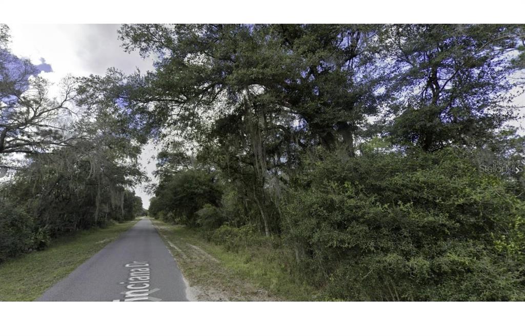 A paved road winds through a wooded area with dense trees and hanging Spanish moss — 914 & 916 POINCIANA DRIVE, INDIAN LAKE ESTATES, FL