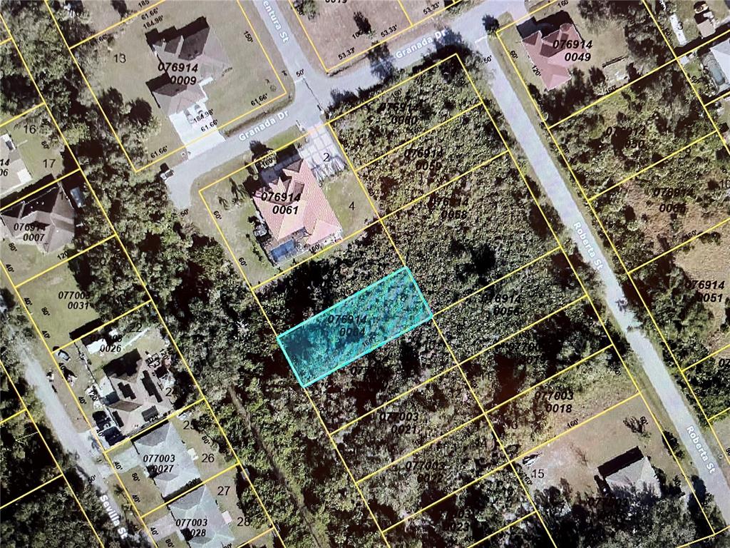 LOT 8 DOLORES STREET