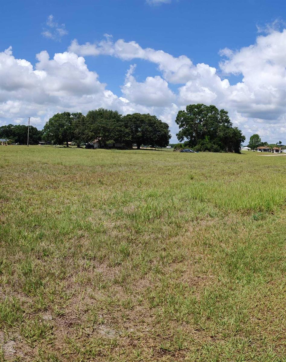 A wide, grassy field features scattered trees under a blue sky with white clouds — 225 Monte Real Boulevard, Sebring FL 33876, SEBRING, FL