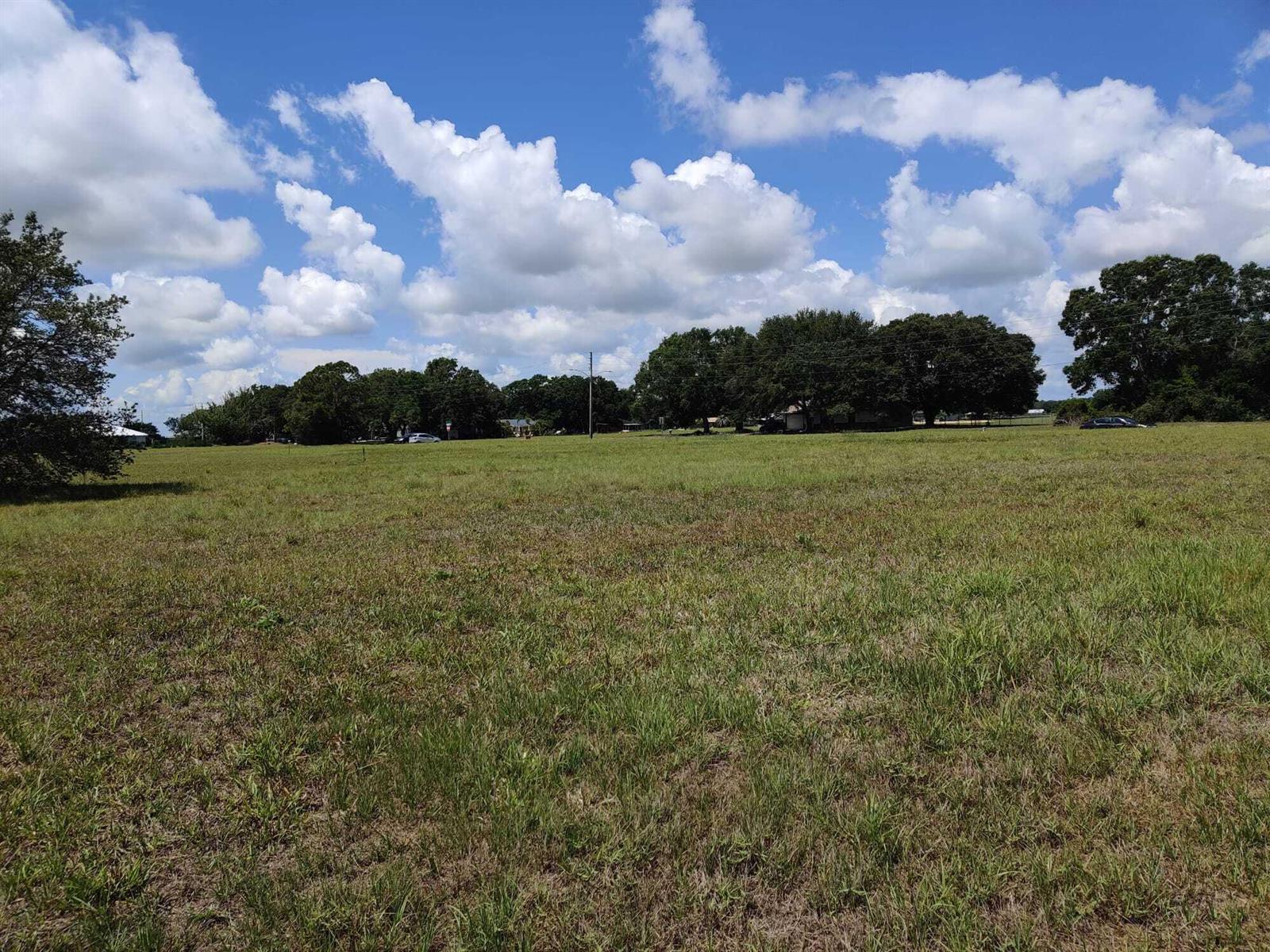 A wide, grassy field under a blue sky with scattered clouds and distant trees — 225 Monte Real Boulevard, Sebring FL 33876, SEBRING, FL