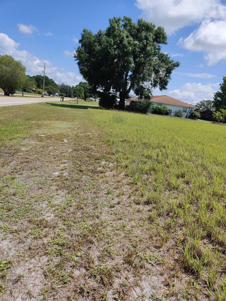 A large tree stands on a grassy lot next to a road and a house — 225 Monte Real Boulevard, Sebring FL 33876, SEBRING, FL