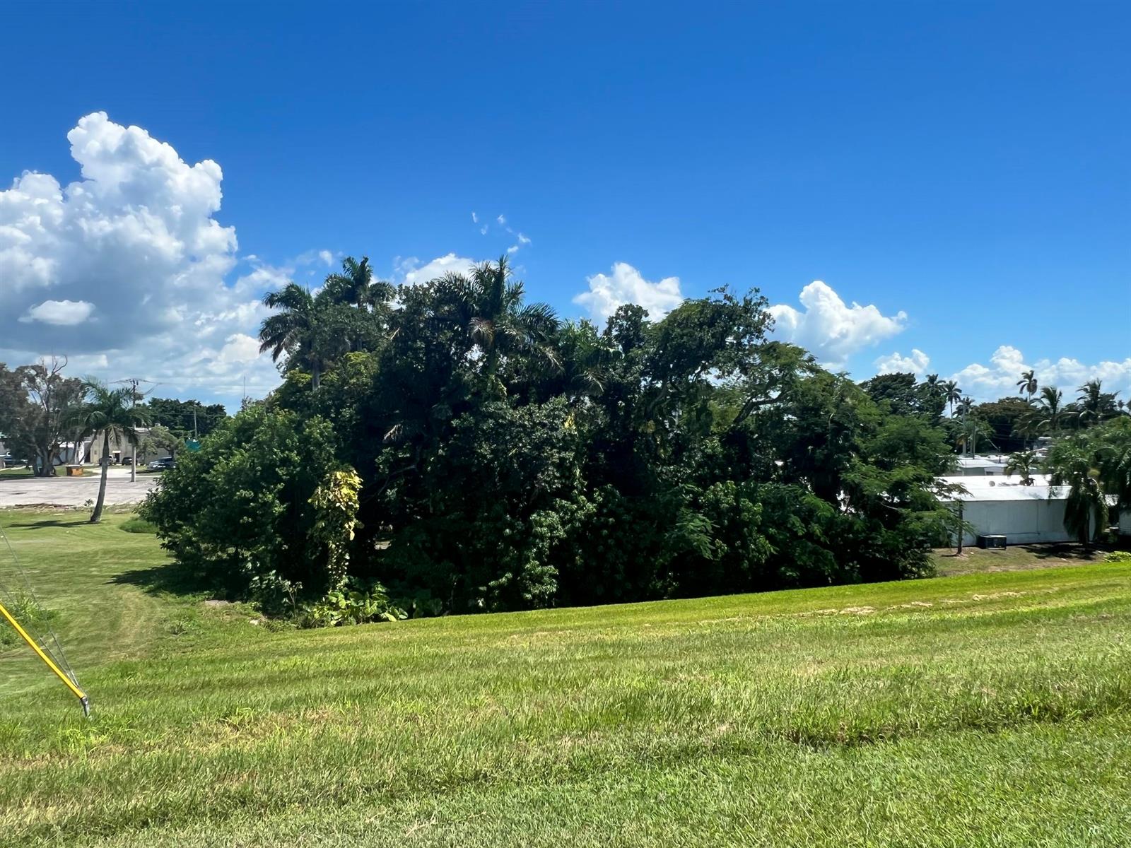 A grassy slope leads to a dense cluster of trees and palms under a blue sky — 197 W Main Street, Pahokee FL 33476, PAHOKEE, FL