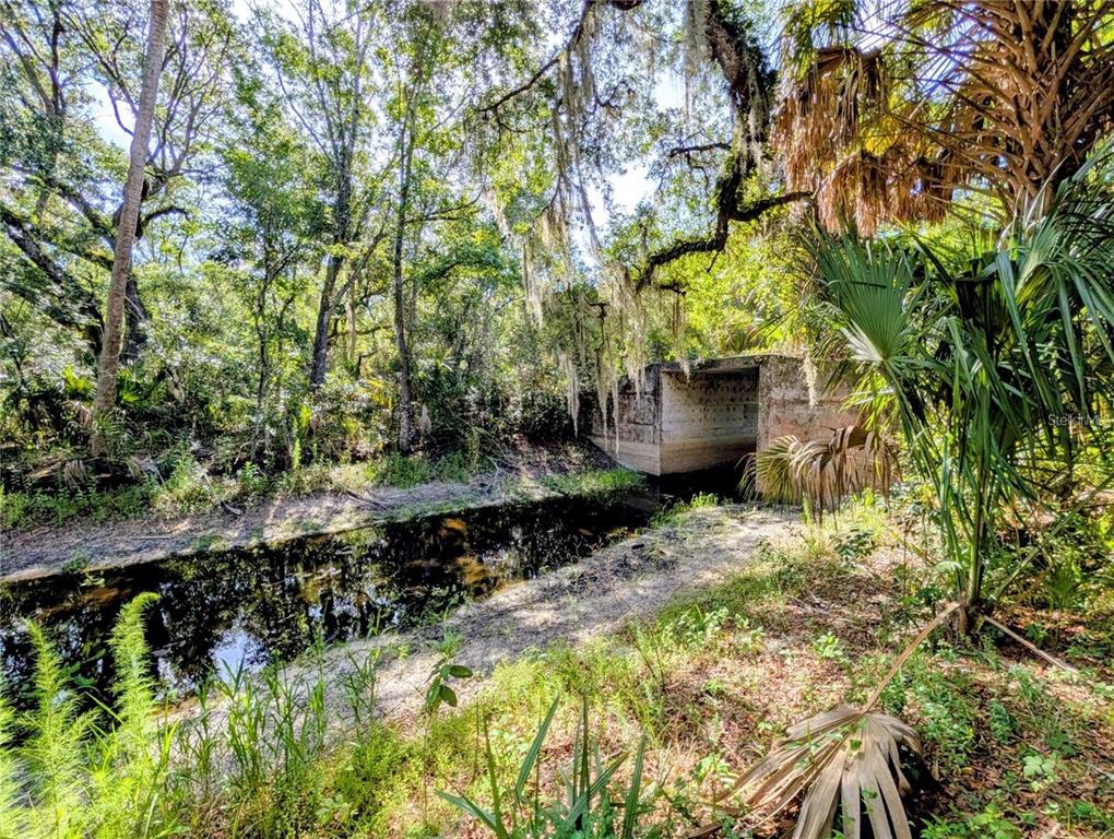 A concrete culvert spans a narrow, dark stream surrounded by trees and lush vegetation — 0 N TORO DRIVE, INVERNESS, FL