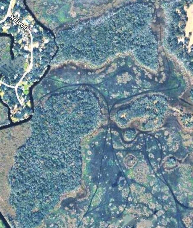 This is an aerial map view showing a wooded area adjacent to a residential street — 0 N TORO DRIVE, INVERNESS, FL