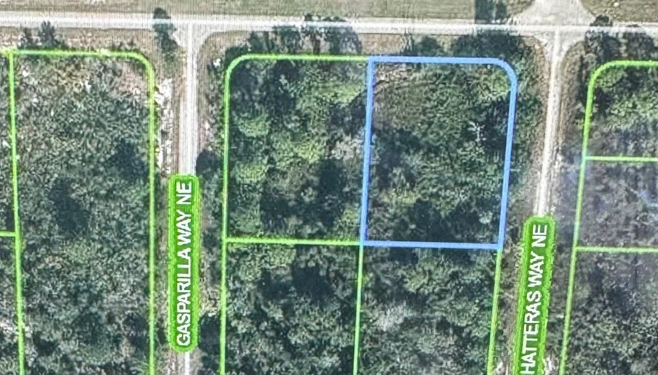 941 Island Parkway NE, Lake Placid FL 33852