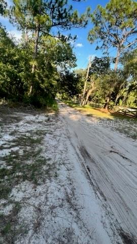 A sandy dirt road winds through a wooded area with tall pine trees — 7678 SW 151ST PLACE, DUNNELLON, FL