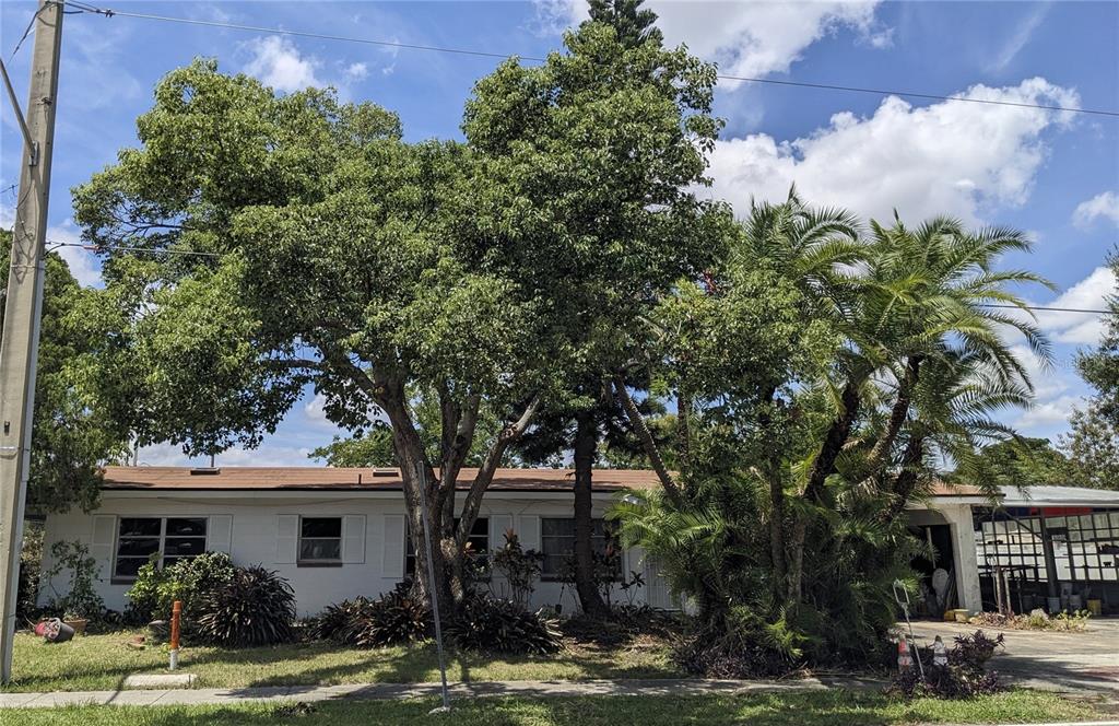 6513 OLEANDER DRIVE