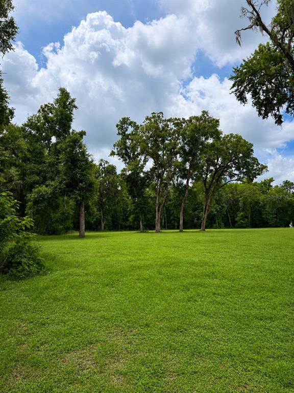 A large, grassy field is bordered by a line of mature trees under a cloudy sky — 2578 SE 110TH STREET, OCALA, FL