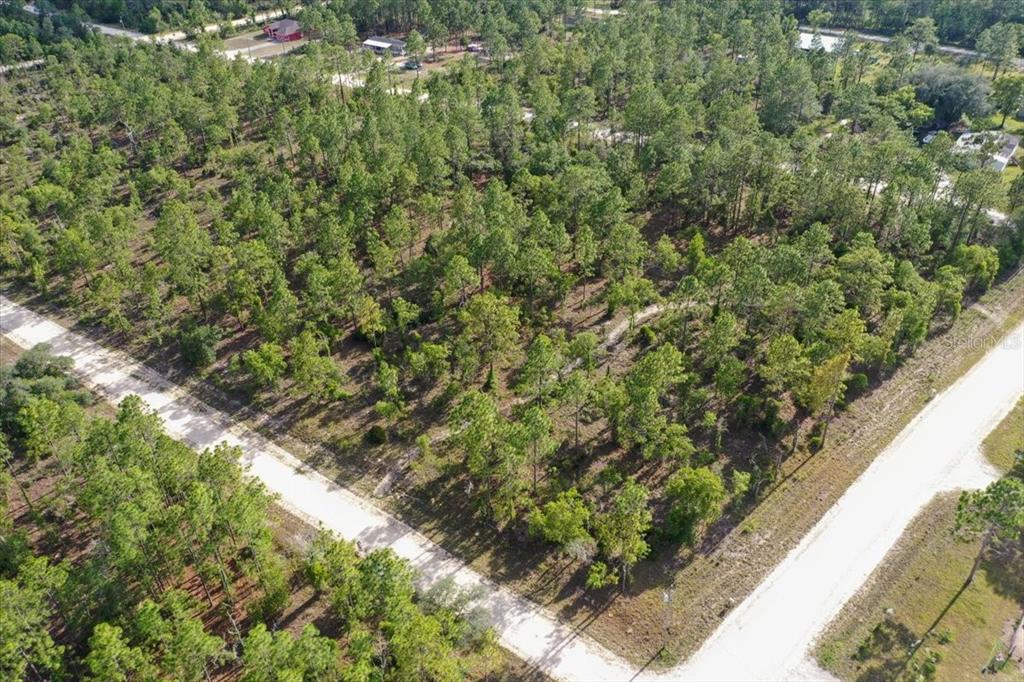 An aerial view shows a wooded, undeveloped corner lot bordered by two dirt roads — 0000 NE 132 TERRACE LOT 1 TERRACE, WILLISTON, FL