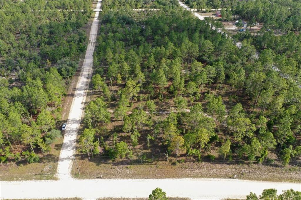An aerial view shows a dirt road intersecting another, bordered by a wooded, undeveloped lot — 0000 NE 132 TERRACE LOT 1 TERRACE, WILLISTON, FL