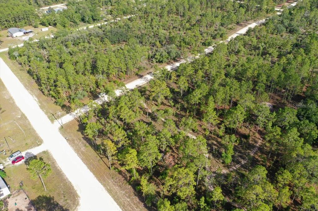 An aerial view shows a wooded, undeveloped lot bordered by two dirt roads — 0000 NE 132 TERRACE LOT 1 TERRACE, WILLISTON, FL