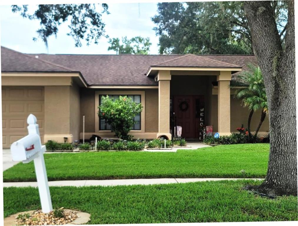 A single-story house with a tan stucco exterior, a brown roof, and a white mailbox — 9736 CYPRESS SHADOW AVENUE, TAMPA, FL