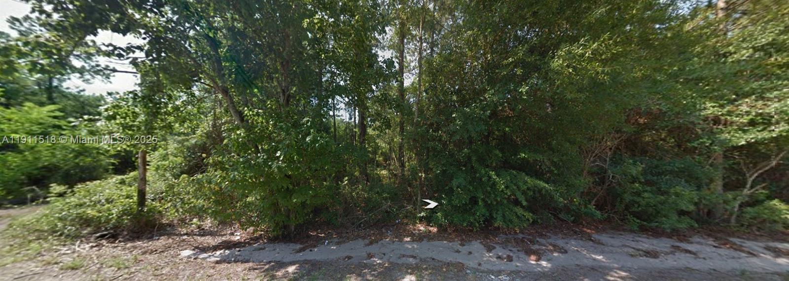 A dense, wooded lot is viewed from a paved road — 6201 SUNRISE WAY, Sebring FL 33875, SEBRING, FL