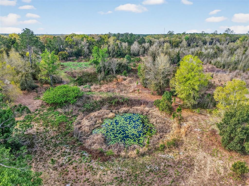 An aerial view of a small, lily pad-covered pond surrounded by trees and brush — ISLAND POND LANE, EUSTIS, FL