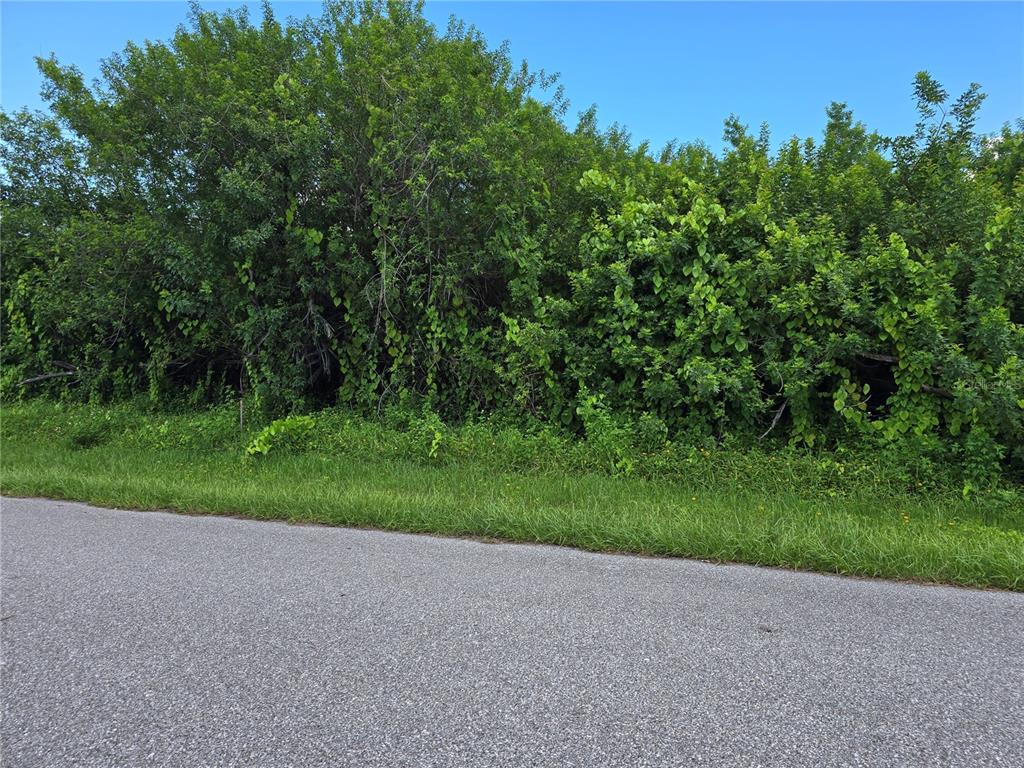 A paved road runs alongside a dense thicket of green trees and overgrown vegetation — 167 LENOIR STREET NW, PORT CHARLOTTE, FL