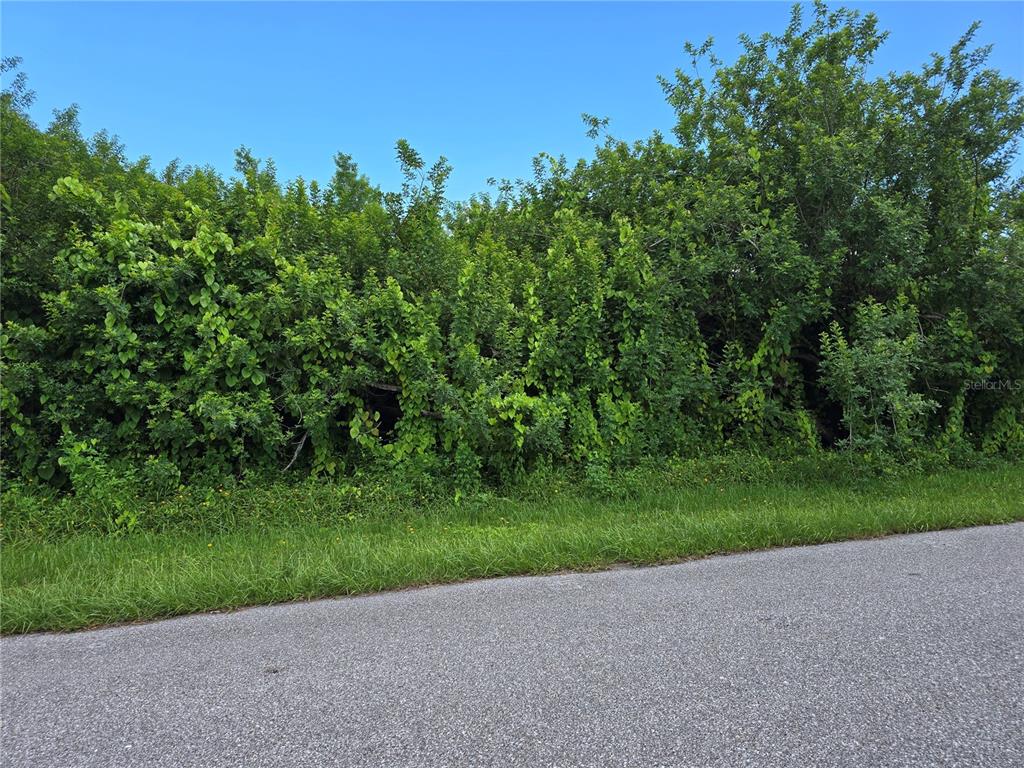 A paved road runs alongside a dense, overgrown area of trees and thick vegetation — 167 LENOIR STREET NW, PORT CHARLOTTE, FL